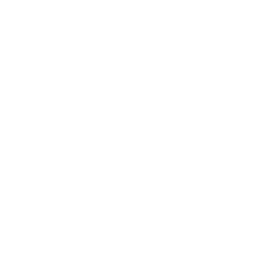 cropped vn house logo